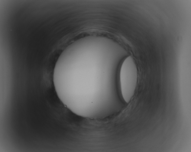 X0000101460774200807071131