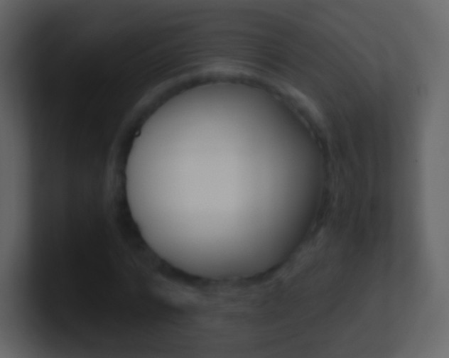 X0000101460776200807071131