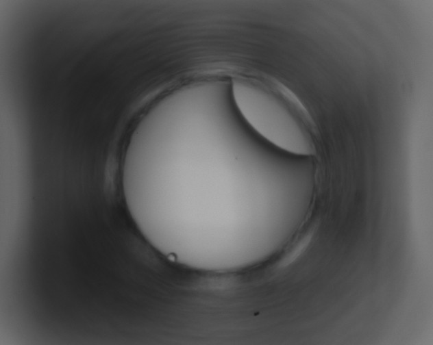 X0000101460778200807071131