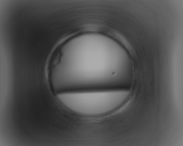 X0000101460779200807071131