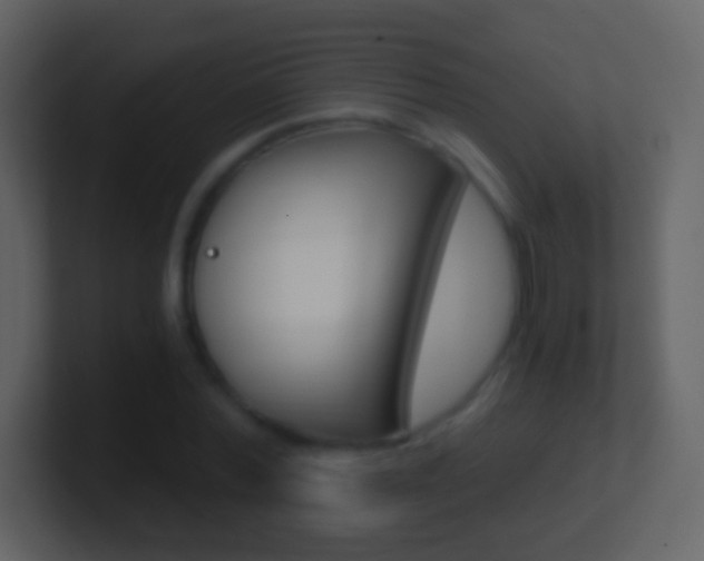 X0000101460780200807071131