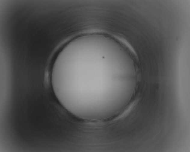 X0000101460781200807071131
