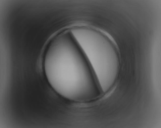 X0000101460783200807071131