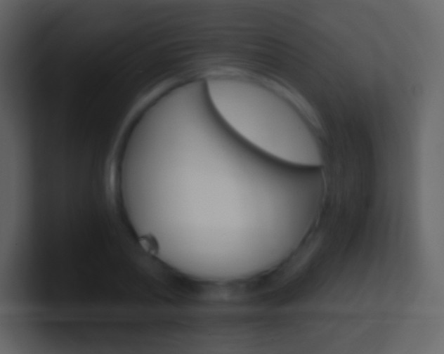 X0000101460790200807071131