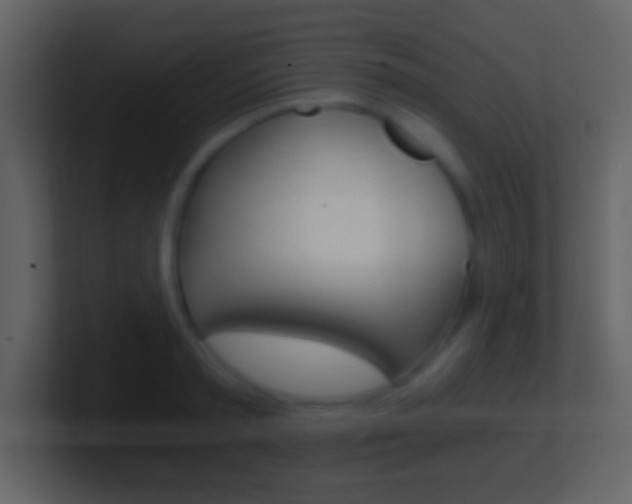 X0000101460797200807071131
