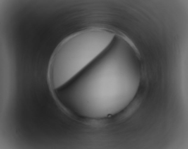 X0000101460803200807071131