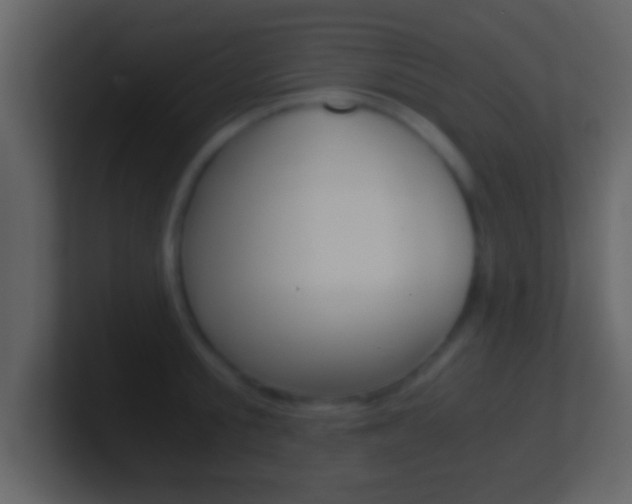 X0000101460805200807071131