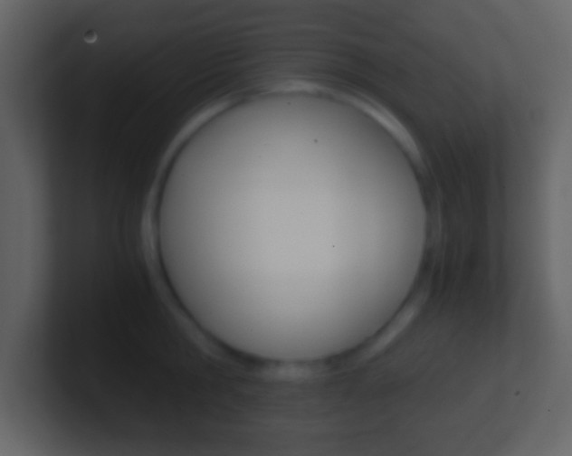 X0000101460806200807071131