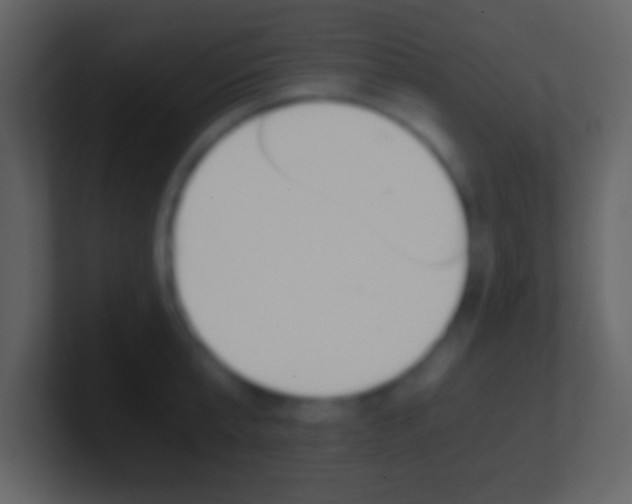 X0000101460807200807071131