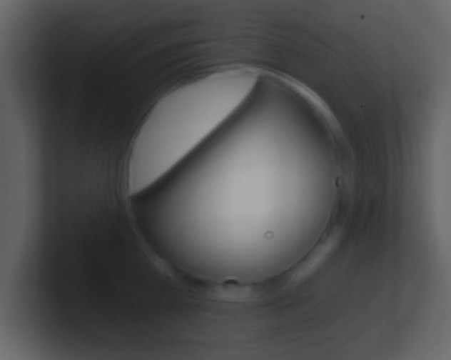 X0000101460809200807071131
