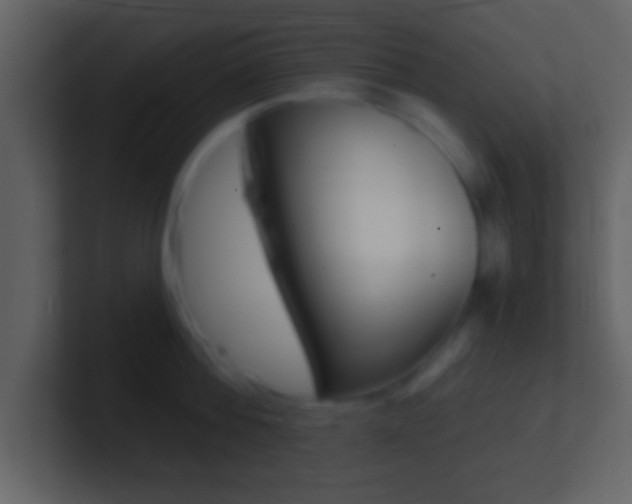 X0000101460812200807071131