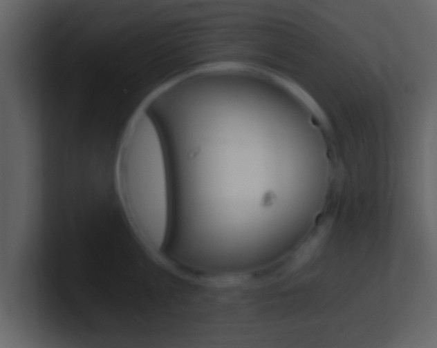 X0000101460813200807071131