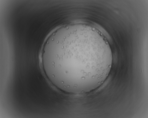 X0000101460814200807071131