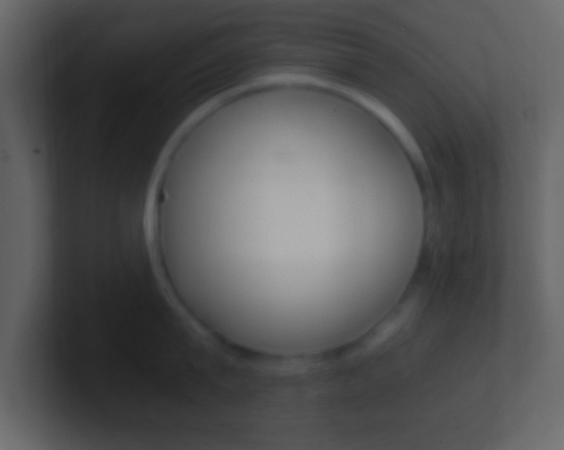 X0000101460815200807071131