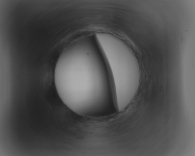 X0000101460821200807071130