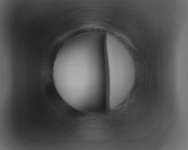 X0000101460822200807071130