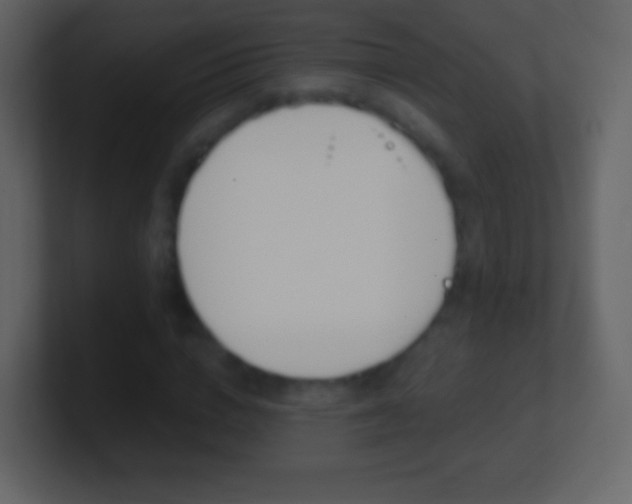 X0000101460824200807071130