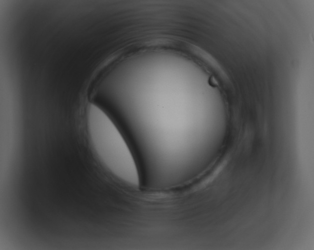 X0000101460826200807071130