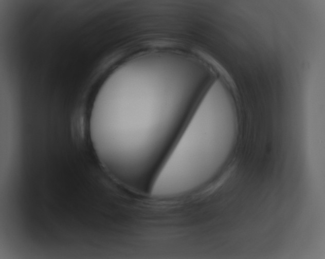 X0000101460829200807071130