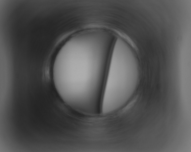 X0000101460830200807071130