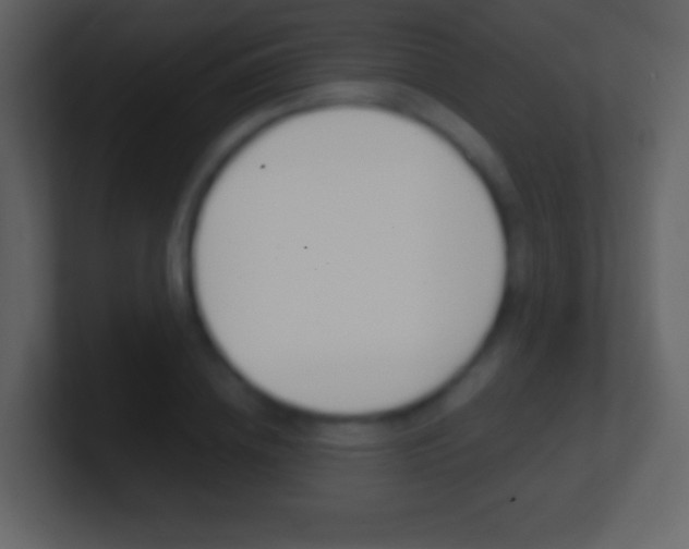 X0000101460836200807071130