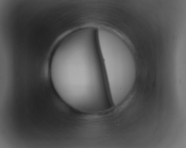 X0000101460838200807071130
