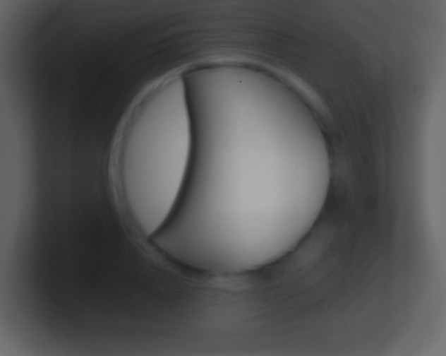 X0000101460840200807071130