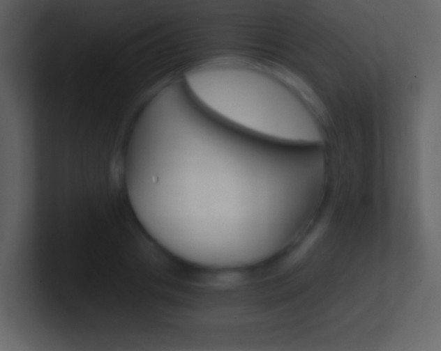 X0000101460841200807071131
