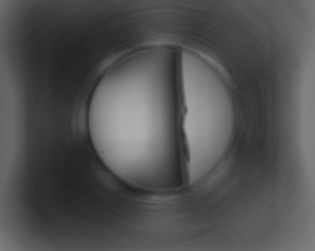 X0000101460842200807071131