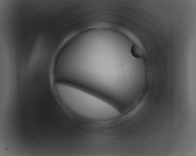 X0000101460845200807071131