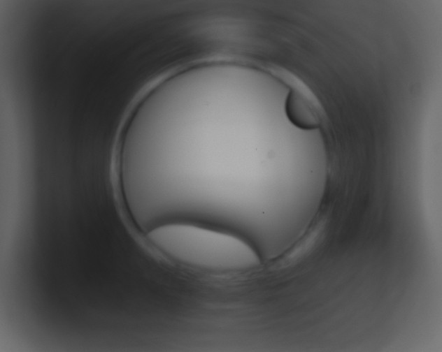 X0000101460847200807071131