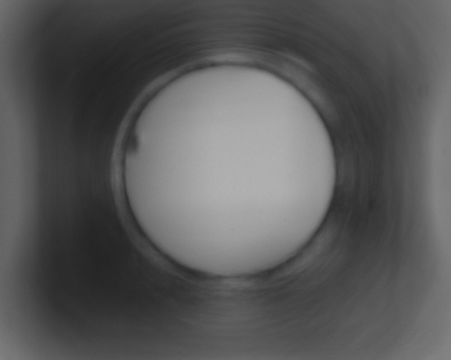 X0000101460848200807071131