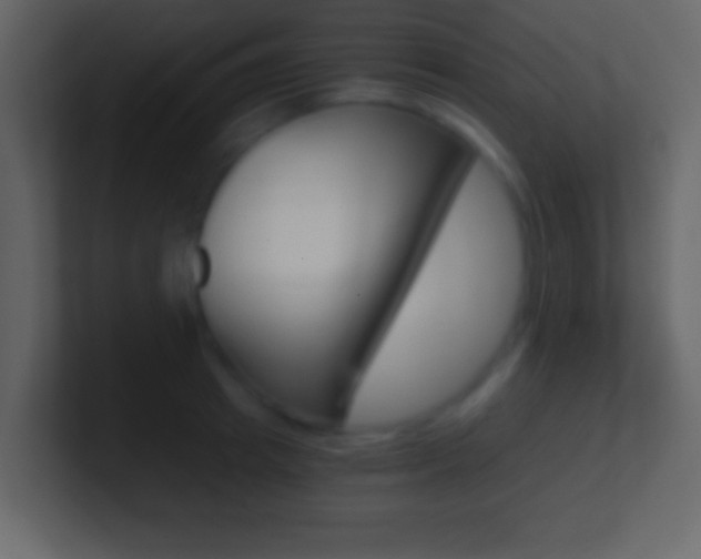 X0000101460849200807071131