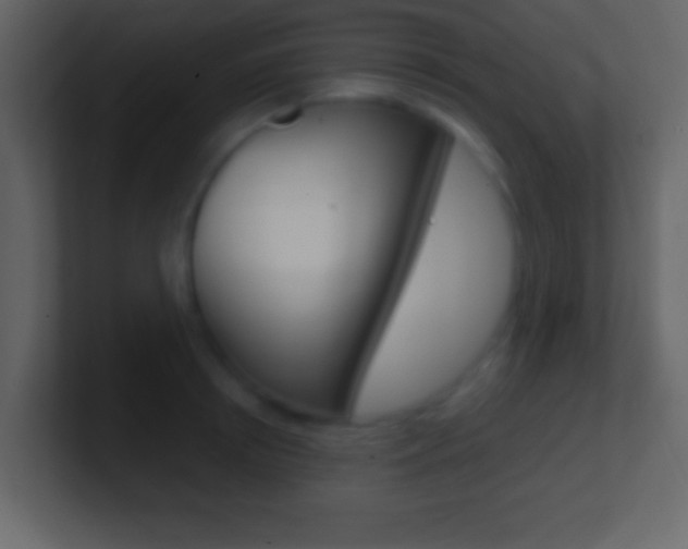 X0000101460850200807071131