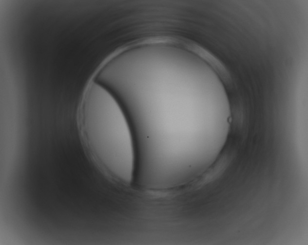 X0000101460852200807071131