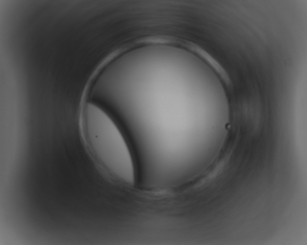 X0000101460853200807071131