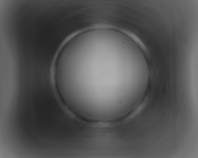 X0000101460854200807071131
