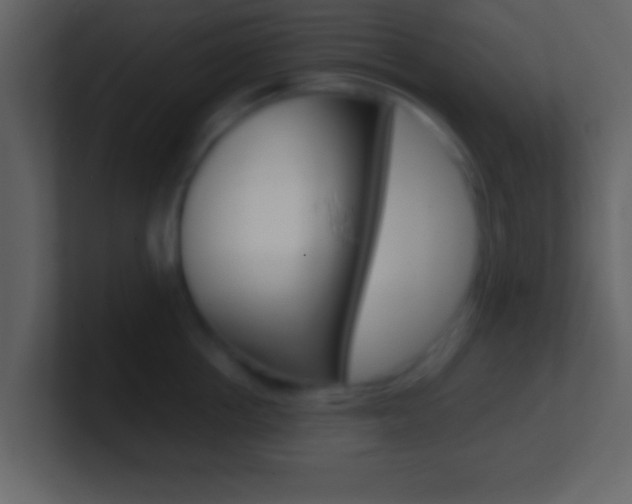 X0000101460858200807071131