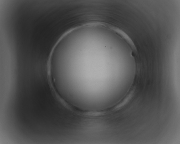X0000101460860200807071131