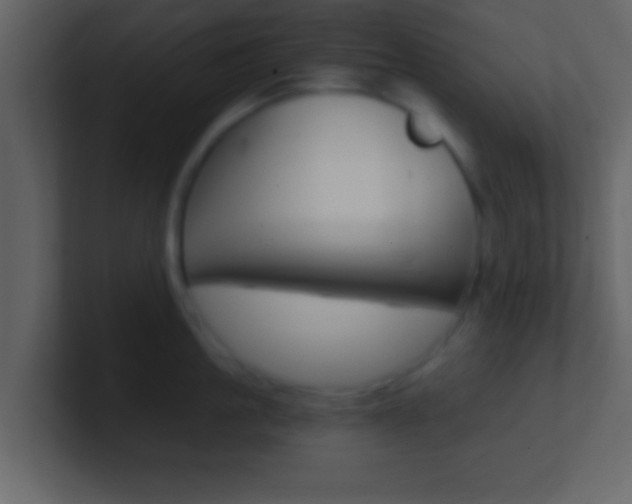 X0000101460861200807071131