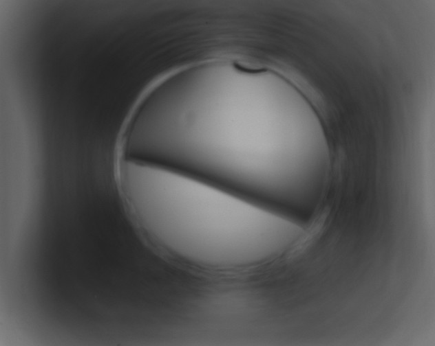X0000101460862200807071131