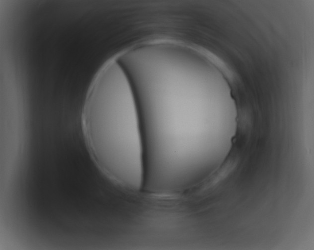 X0000101460863200807071131