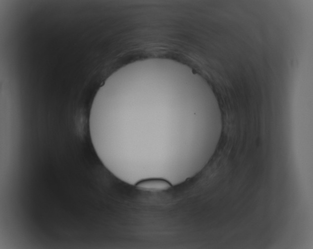 X0000101460866200807071130