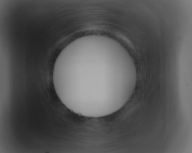 X0000101460869200807071130