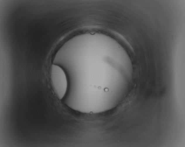 X0000101460871200807071130