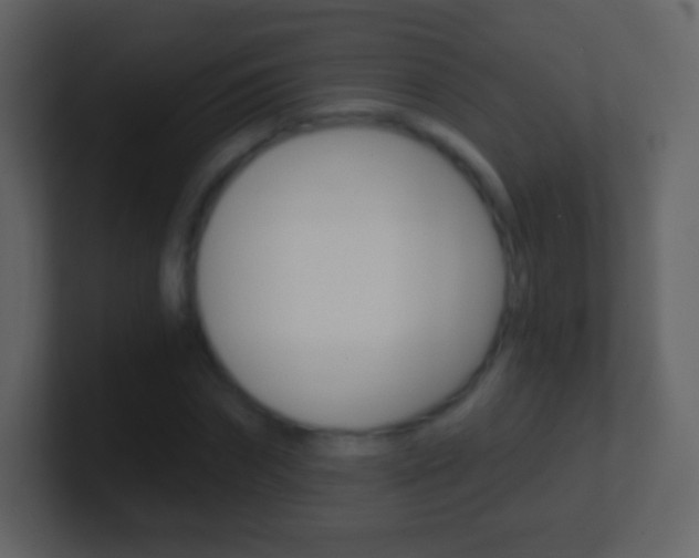 X0000101460874200807071130
