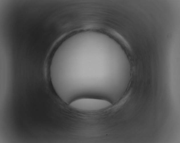 X0000101460875200807071130