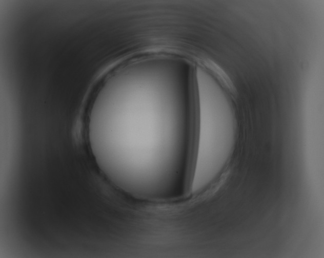 X0000101460876200807071130