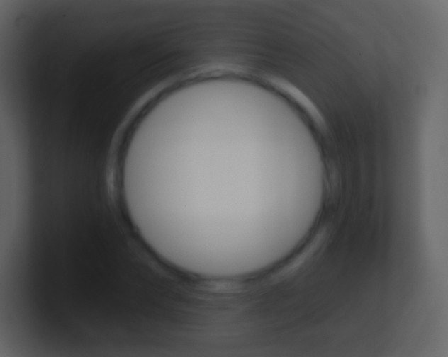 X0000101460878200807071130