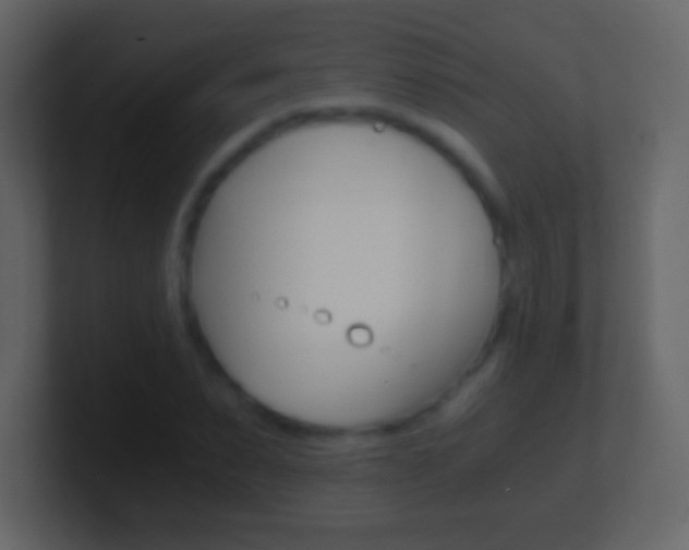 X0000101460879200807071130